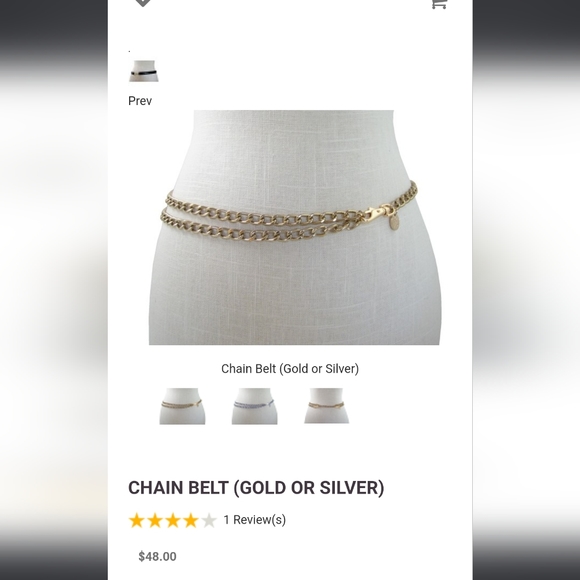 HfS Los Angeles bronze convertible belt bag with extra strap NWOT - Picture 6 of 7